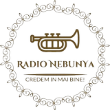 Radio NebunYa Nebunia Manele أيقونة