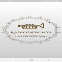 Radio NebunYa Nebunia Manele Poster