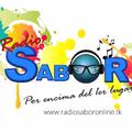 Radio Sabor Tv