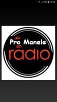 Radio Pro Manele Affiche