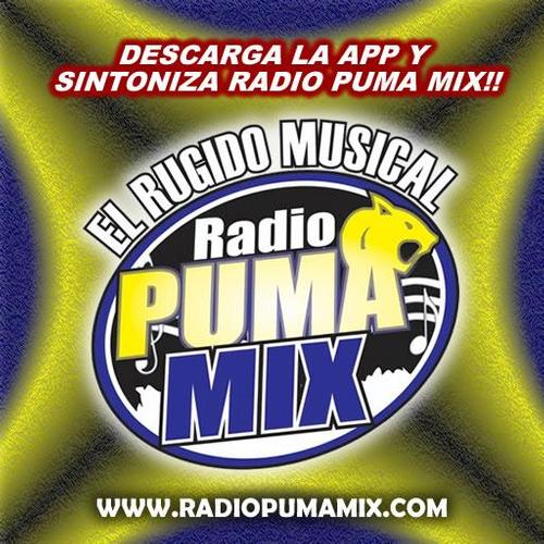 RADIO PUMAMIX APK for Android Download