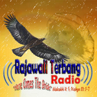 Radio Rajawali Terbang ícone