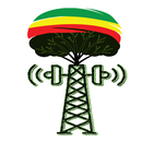 APK Radio Reggae 2021