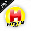 HITS 100,7 FM