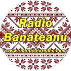 Radio Banateanu icône