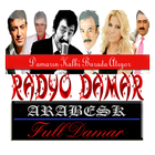 آیکون‌ Radyo Damar