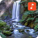 APK Rainforest Sound Effects