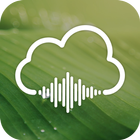 Rainy Sounds - Relaxing Sleep Music icône