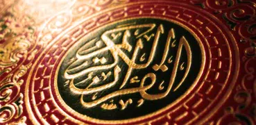 Mushaf Tajweed - Holy Quran