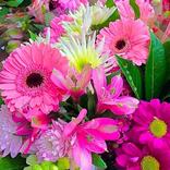 Ramos de flores hermosos