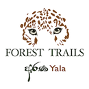 Arana - Forest Trails APK