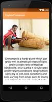 Ceylon Cinnamon स्क्रीनशॉट 3