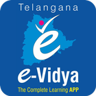 e-Vidya School-icoon