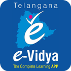e-Vidya School Zeichen