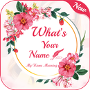Fact of Your Name - Name Meaning APK