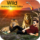 Wild Animal Photo icône
