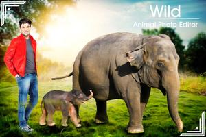 Wild Animal Photo 海报