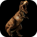 Raptor Dinosaur Live Wallpaper aplikacja
