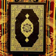 Descargar APK de Quran Lite - Quran English