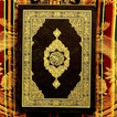Quran Lite - Quran English