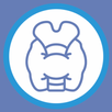 Thyroid Nodules - Ultrasound Guide APK