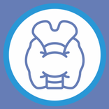 Thyroid Nodules - Ultrasound Guide