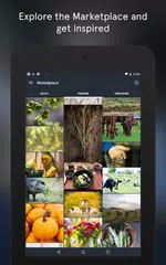 Snapwire - Sell Your Photos APK download