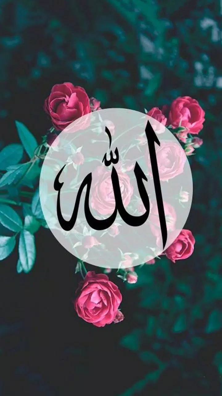 Allah Wallpapers APK for Android Download