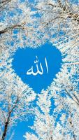 Allah Wallpapers скриншот 3