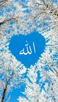 Allah Wallpapers স্ক্রিনশট 3