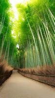 برنامه‌نما Bamboo Forest Wallpapers عکس از صفحه