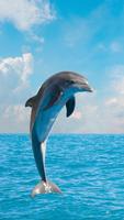 برنامه‌نما Dolphins Live Wallpaper عکس از صفحه