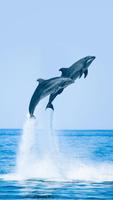 برنامه‌نما Dolphins Live Wallpaper عکس از صفحه