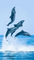 Dolphins Live Wallpaper স্ক্রিনশট 3