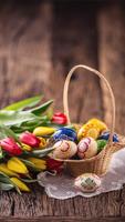 Easter Wallpapers 截图 2
