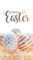 Easter Wallpapers ภาพหน้าจอ 3