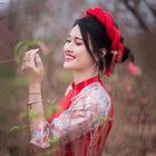 Japanese Girl Wallpapers آئیکن