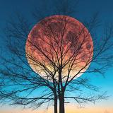 Moon HD Wallpapers иконка