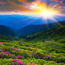 Nature HD Wallpapers APK