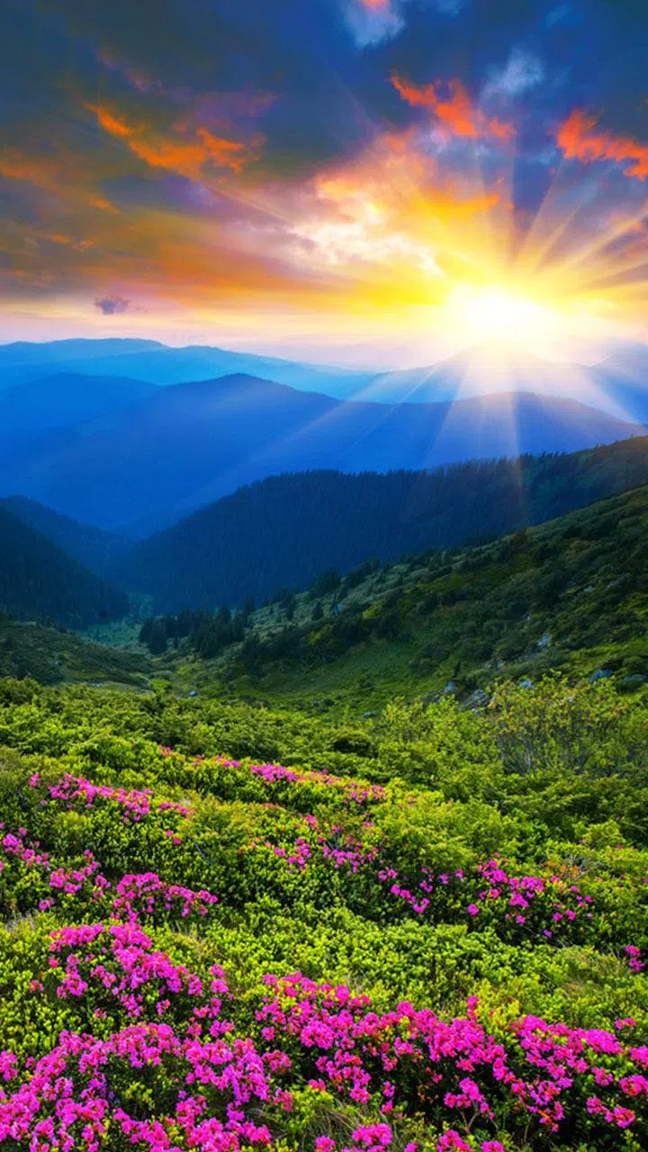 Nature HD Wallpapers APK for Android Download