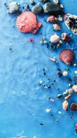 Sea Shell Wallpapers 스크린샷 2