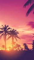 Sunset HD Wallpapers 截图 1