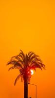 Sunset HD Wallpapers 截图 3