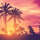 Sunrise HD Wallpapers icon