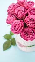 Pink Rose Live Wallpaper اسکرین شاٹ 1