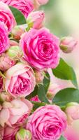 2 Schermata Pink Rose Live Wallpaper