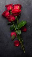 Rose HD Wallpapers 포스터