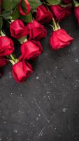 Rose HD Wallpapers ภาพหน้าจอ 1