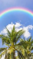 Rainbow Live Wallpaper скриншот 3
