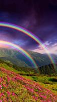 Rainbow Live Wallpaper постер